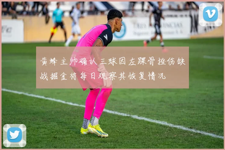黄蜂主帅确认三球因左踝骨挫伤缺战掘金将每日观察其恢复情况