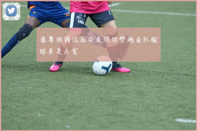 潘粤明调侃国安表现称赞越南队输球真是厉害