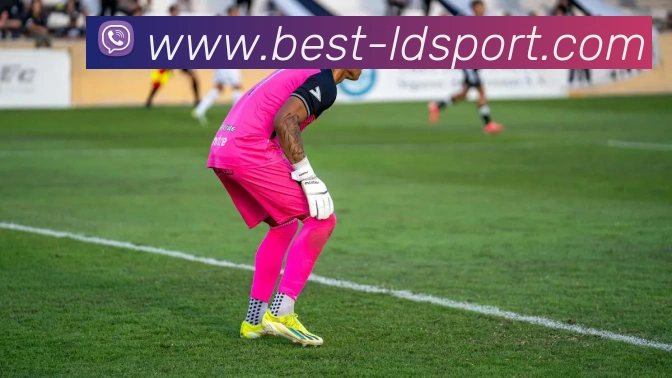 乐动体育发展历程