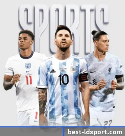 每个板块围绕一个运动项目展开 - LDSPORTS