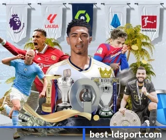 乐动体育 APP | LDSPORTS